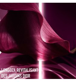 Capture Totale - Reichhaltige Anti-Aging-Creme - intensive Ernährung und Reparatur Capture Totale - Reichhaltige Anti-Aging-Creme - intensive Ernährung und Reparatur
